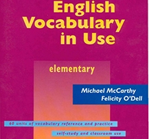 CAMBRIDGE VOCABULARY IN USE ELEMENTARY EBOOK