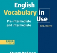 CAMBRIDGE VOCABULARY IN USE INTERMEDIATE EBOOK