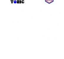 TOEIC Grammar Version 1