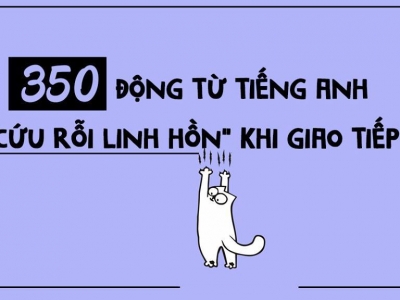 350 động từ tiếng Anh nhất thiết phải nhớ