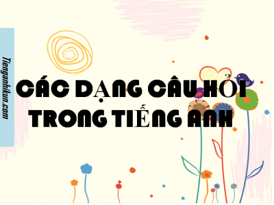 các dạng câu hỏi trong tiếng Anh