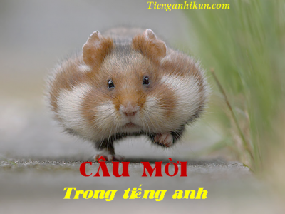 chủ đề 187: câu mời tiếng anh