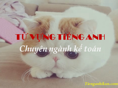 chủ đề 185: từ vựng tiếng anh chuyên nghành kế toán - phần 2
