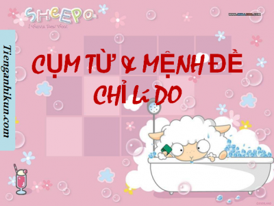 CỤM TỪ VÀ MỆNH ĐỀ CHỈ LÝ DO