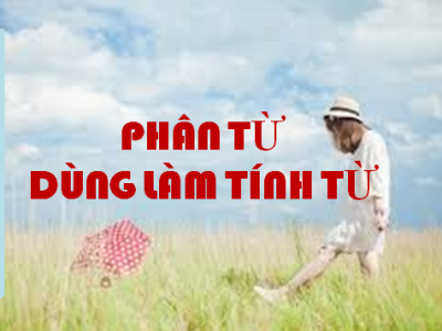 PHÂN TỪ DÙNG LÀM TÍNH TỪ